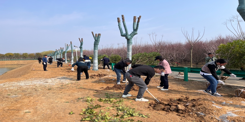 黨建引領(lǐng)共植綠 凝心聚力譜新篇 ——和合生態(tài)、德嘉置業(yè)黨支部赴小廟基地義務(wù)植樹